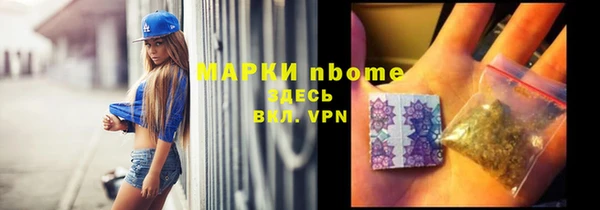 стаф Корсаков