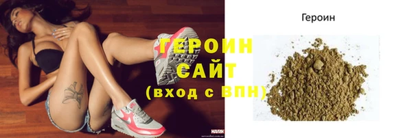 стаф Корсаков