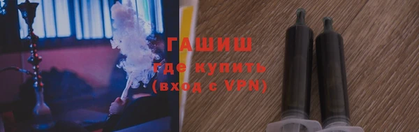 стаф Корсаков