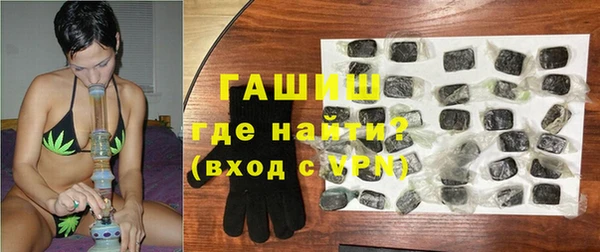 стаф Корсаков