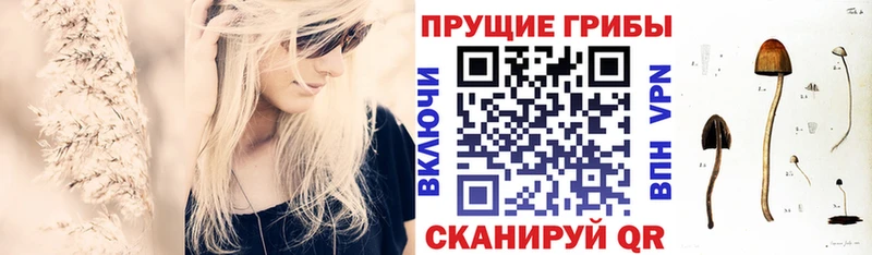 Галлюциногенные грибы Cubensis Купить закладки Оха